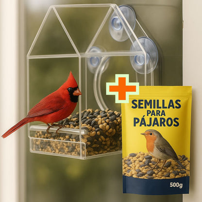 Casa de Acrílico para Pájaros